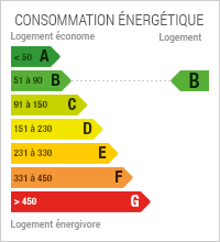 Consommation en énergie : 61 kWh par mètre carré