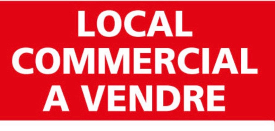 Local commercial Noyal Sur Vilaine 48 m2