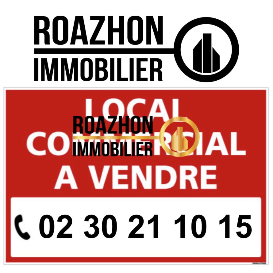 Local Commercial Rennes sur Rue passante